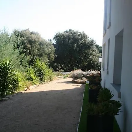 Serenita Piscine Chauffee Et A Ajaccio Villa