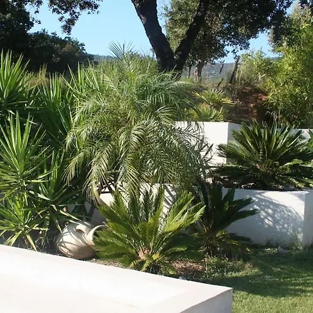 Serenita Piscine Chauffee Et A Ajaccio Villa Ajaccio (Corsica)