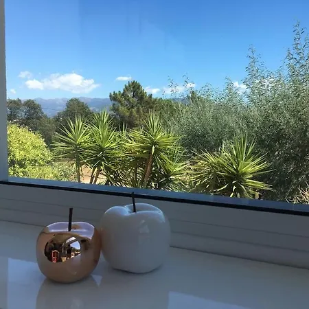 Serenita Piscine Chauffee Et A Ajaccio *